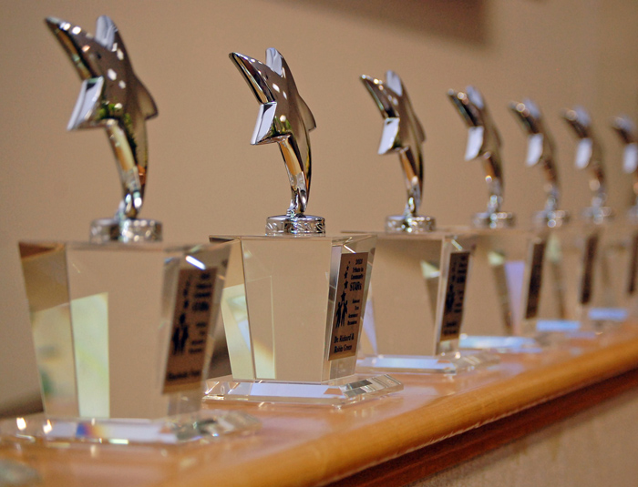 2014 Tribute to Community STAR Awards in a row